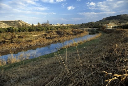 El río Segura, a su paso por Murcia, en una imagen de archivo.