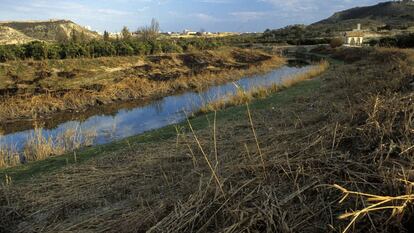 El río Segura, a su paso por Murcia, en una imagen de archivo.