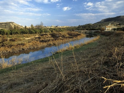 El río Segura, a su paso por Murcia, en una imagen de archivo.