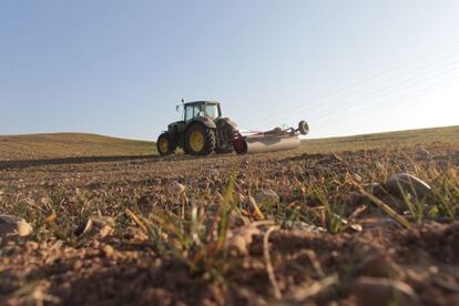 Los agricultores serán activos cuando reciban menos del 80% de sus ingresos vía ayudas.