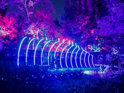 Una de las 16 instalaciones lumínicas de ‘Naturaleza Encendida’, en el Real Jardín Botánico.