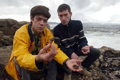 Suso Lista y Juan José González muestran el estado de los percebes de O Roncudo (A Coruña), el 18 de diciembre de 2002, tras la marea negra provocada por el vertido de petrolero Prestige y que ha afectado a parte de la costa gallega. 