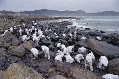 La costa en al localidad gallega de Muxía, el 16 de noviembre de 2002, con grupos de voluntarios limpiando el chapapote. 