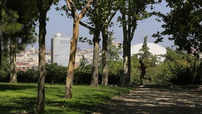 Un corredor en el parque Enrique Tierno Galv&aacute;n en Madrid. 