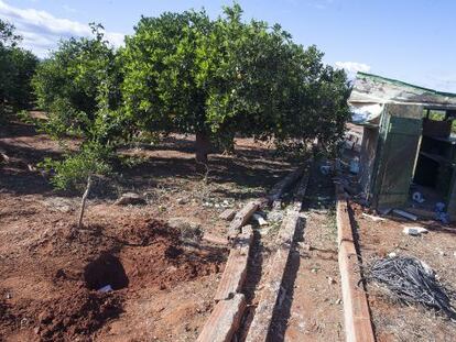 Imagen del campo con la caseta frente a la que falleci&oacute; el agricultor.