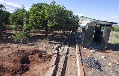 Imagen del campo con la caseta frente a la que falleci&oacute; el agricultor.