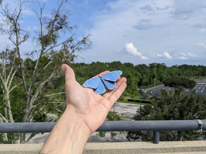 La representación de una mariposa pintada con tinta estructural.