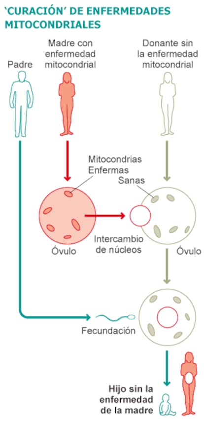 Fuente: elaboración propia.