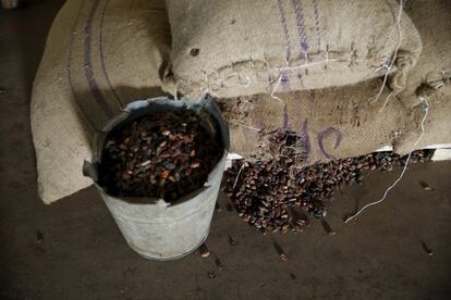 Un cubo con granos de cacao en un almacén de la fábrica.