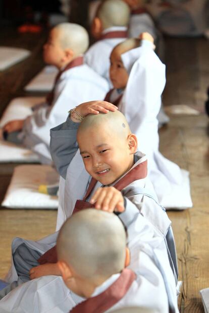 Jóvenes monjes se tocan la cabeza recién afeitada durante una ceremonia budista en el Templo Shinheung, en la ciudad de Sokcho (Corea del Sur).