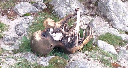 The body in La Pedriza, before it was removed by the authorities.