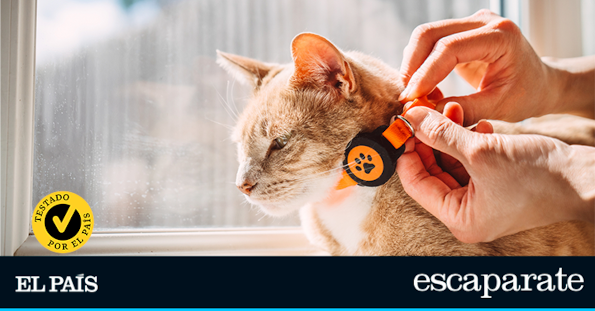 Pruebo varios collares GPS para gatos y te digo cuál comprar