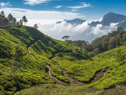 Fundaciones comunitarias, el gran desconocido