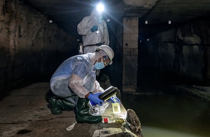 Dos trabajadores recogen muestras del alcantarillado para el sistema de alerta temprana del coronavirus en Valencia durante el mes de mayo del pasado año.