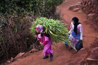 Mina y su hija Hajiba regresan a su casa. Viven en Egueri, un pueblo en la ladera de una montaña a siete kilómetros de la cooperativa. El desnivel es pronunciado. Para Mina, enferma del corazón, hacer este recorrido cada día es muy duro. La cooperativa le compra los medicamentos que necesita.