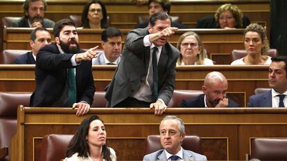 Dos miembros de Vox gesticulan desde sus escaños en el Congreso de los Diputados.