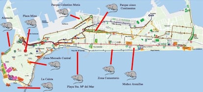 Mapa elaborado por la formación local del Partido Popular en Cádiz.