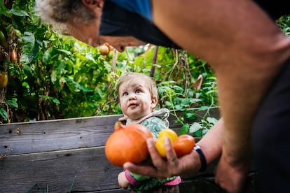 Los menores que participan en el cuidado de huertos urbanos tienden a llevar estilos de vida más saludables. 