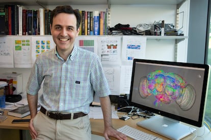 El neurocientífico Gregory Jefferis, del Laboratorio de Biología Molecular de Cambridge (Reino Unido).