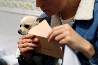 A woman approaches a polling station in Madrid with her pet dog.