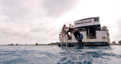 Michael Phelps salta de un barco antes de nadar con un tiburón blanco para un documental del canal de televisión Discovery en Español.
