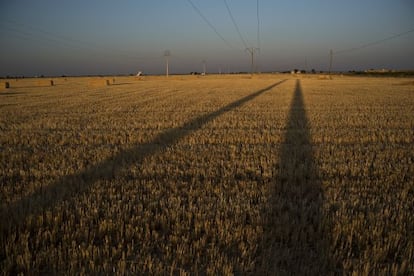 La llanura manchega entre Argamasilla de Alba y Cinco Casas.