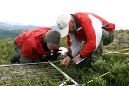 Los investigadores Anne Olga Syverhuset (izquierda) y Jare Inge Holten, de la Universidad Noruega de Ciencia y Tecnología, tomando muestras en las montañas Dovre.