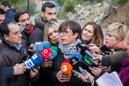 The deputy delegate in Málaga for the central government, María Gámez, gives reporters an update on the situation.