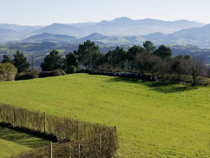 Fincas rurales en el norte de España.