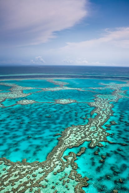 La espectacular Gran Barrera de Coral de Australia.