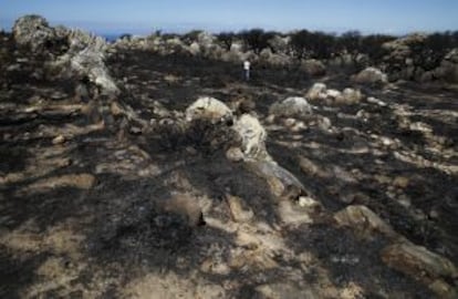 El último incendio en el Retín ha quemado 410 hectáreas.