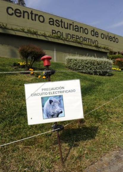 An electric fence to keep boars out of a club in Oviedo.