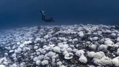 Los puntos de inflexión del clima: ¿Un viaje sin retorno?