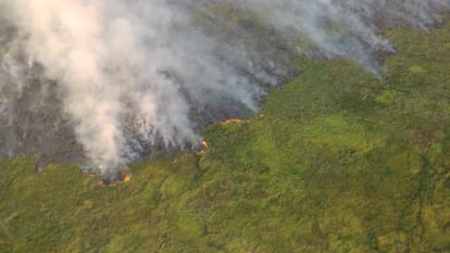 provincia argentina de Corrientes incendio