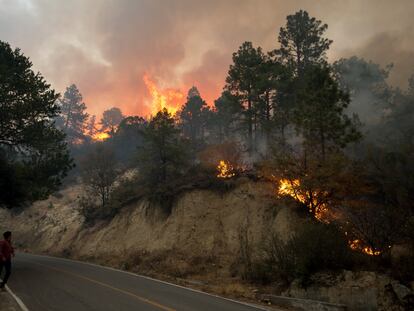 Un incendio en el bosque entre Coahuila y Nuevo León este martes.