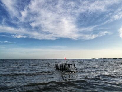 Cuando las aguas de lago Victoria sobrepasaron sus niveles históricos, los campos de cultivo de sus costas desaparecieron bajo las inundaciones. 