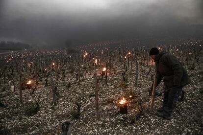 Un viticultor enciende calentadores en un viñedo afectado por heladas cerca de Auxerre, Francia.