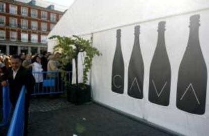 Cientos de personas en la Plaza Mayor de Madrid donde el Consejo Regulador del Cava organizó la Vendimia del Cava. EFE/Archivo