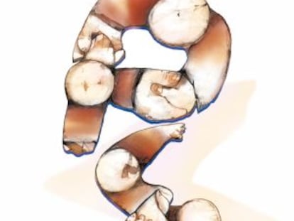 El futuro (probable) del PSOE