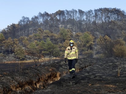 Un bombero estudia el terreno en Santa Coloma de Queralt (Tarragona), donde un incendió devastó en verano de 2021  más de 1.500 hectáreas.