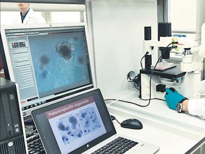 Laboratorio del Centro de Investigaci&oacute;n en Qu&iacute;mica M&eacute;dica de Lilly en Madrid.