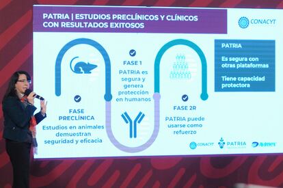 Coronavirus en México: la directora del Conacyt, María Elena Álvarez Buylla, explica los avances en el desarrollo de la vacuna 'Patria'