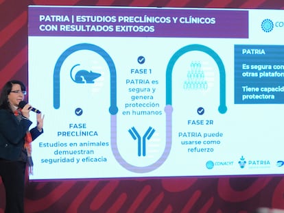 La directora del Conacyt, María Elena Álvarez Buylla, explica los avances en el desarrollo de la vacuna 'Patria', este martes.