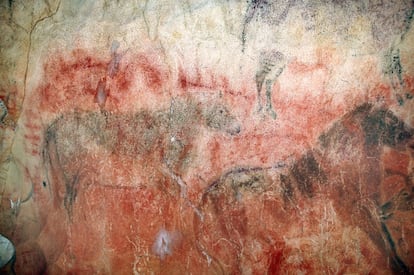 Pinturas de dos metros de caballos en la cueva de tito Bustillo (Asturias) sobre imágenes anteriores.