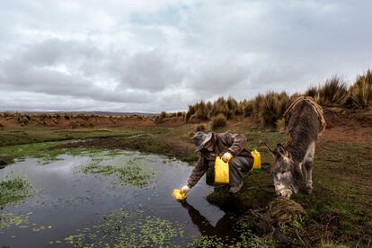 Jacinto está há 60 anos, 22.000 dias, vivendo sem água potável no planalto boliviano, uma das regiões onde se concentra a pobreza extrema no país andino.