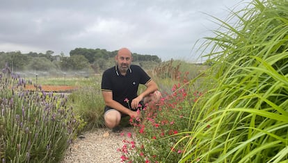 Enric Sancho Horticultura