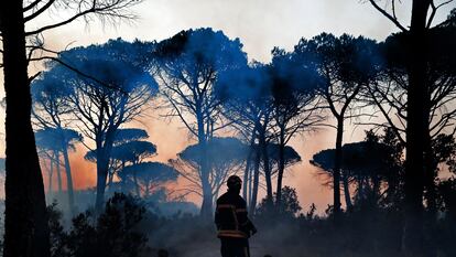 Bombeiros tentam apagar um incêndio nos arredores de Cannet des Maures, na França, em 17 de agosto de 2021.