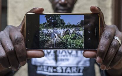 Keba Diouara muestra una foto de su ganado, que mantiene desde España.