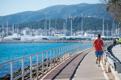 Todos los paseos que pespuntean la bahía de Palma ofrecen rutas peatonales aptas para el deporte, accesibles desde el casco histórico. 