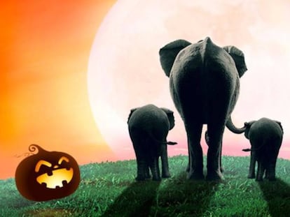 Imagen promocional de las actividades para Halloween en el Zoo de Madrid.